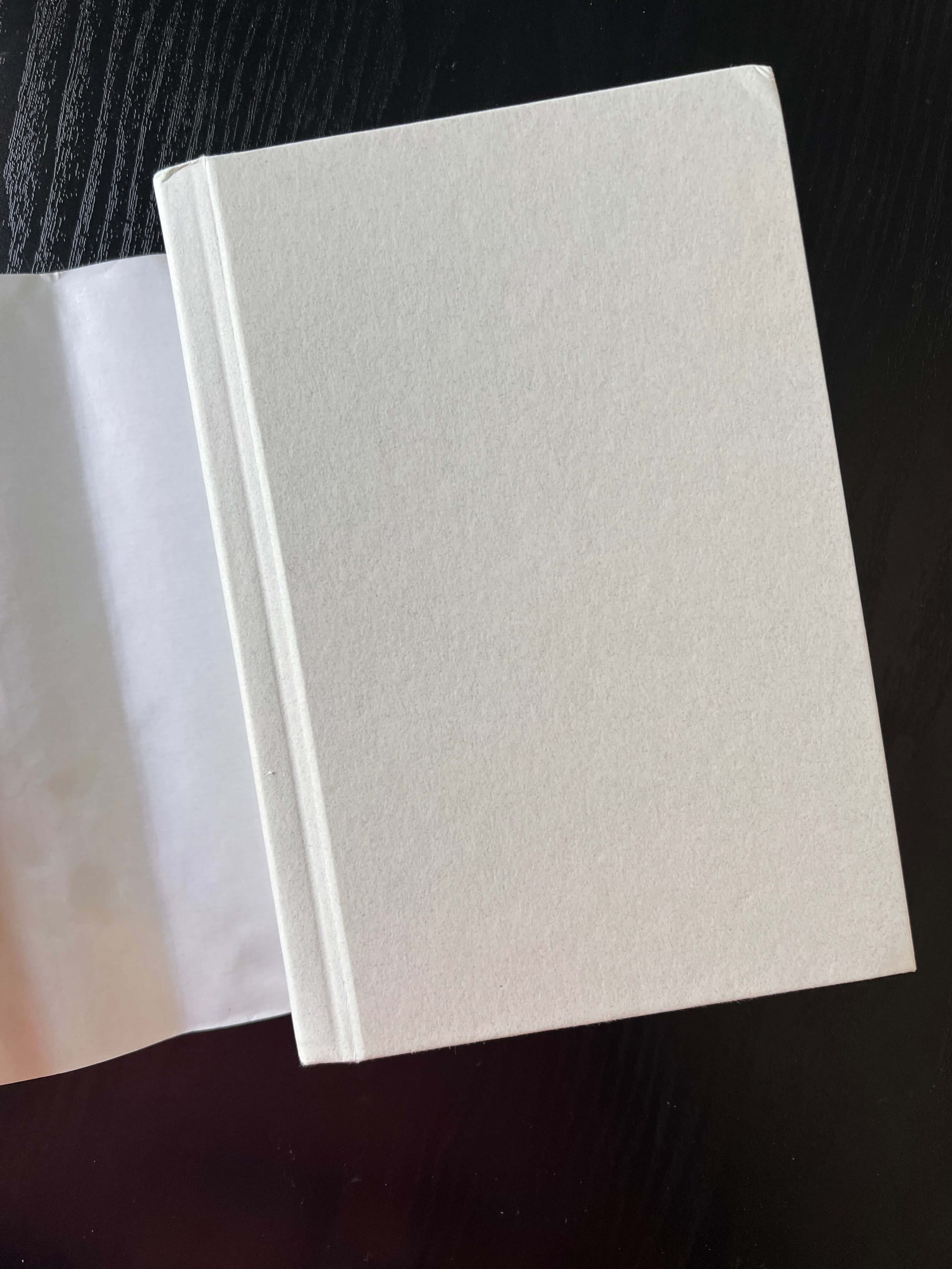 Essays One by Lydia Davis - SIGNED - Image 4