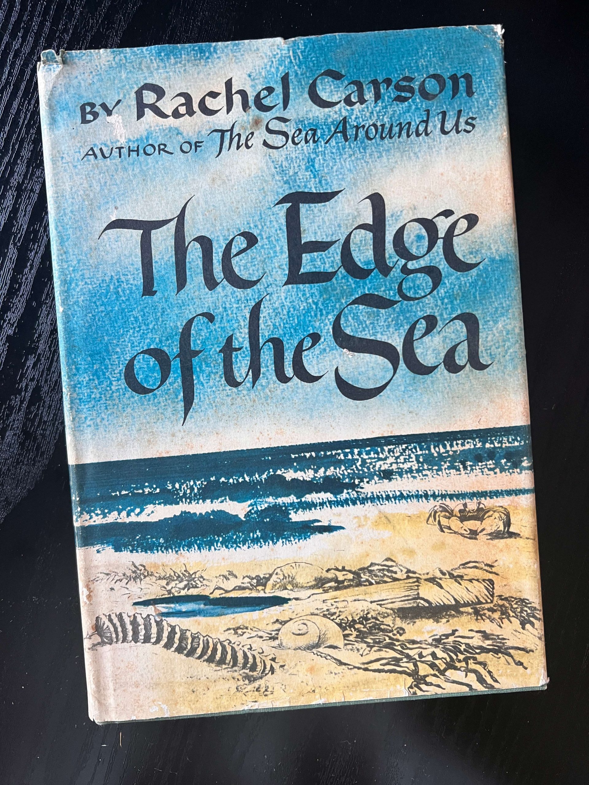THE EDGE OF THE SEA, Rachel Carson, 1st Edition, 1st Printing, 1955, Hardcover, DJ, Bob Hines