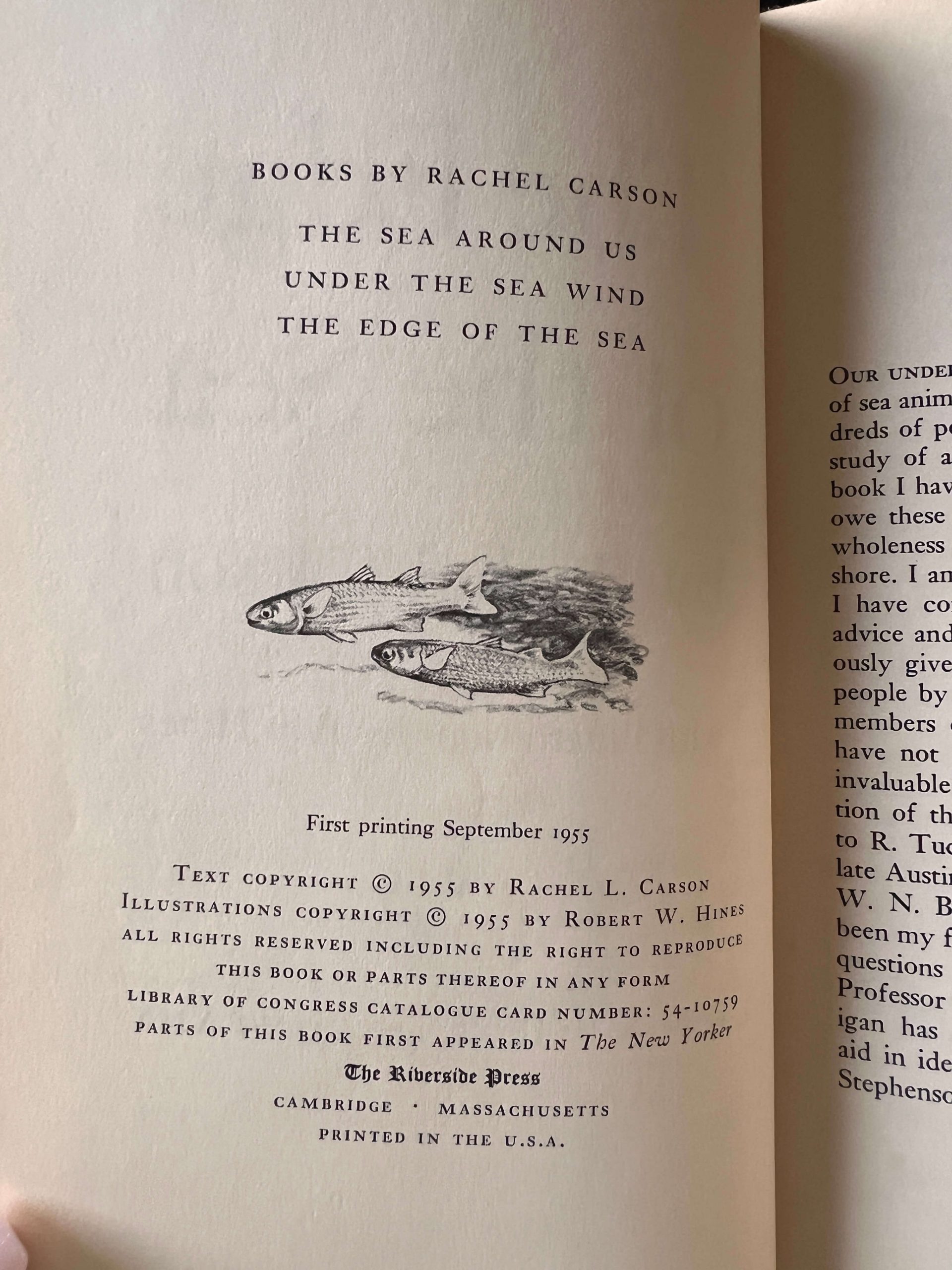 THE EDGE OF THE SEA, Rachel Carson, 1st Edition, 1st Printing, 1955, Hardcover, DJ, Bob Hines - Image 3